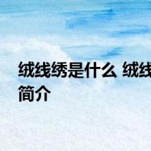 绒线绣是什么 绒线绣的简介