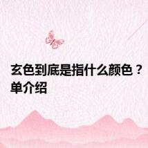 玄色到底是指什么颜色? 玄色简单介绍