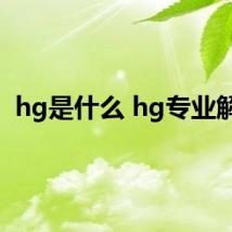 hg是什么 hg专业解释