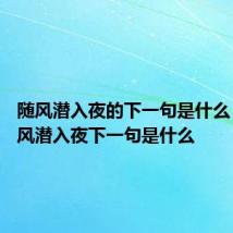 随风潜入夜的下一句是什么 诗句随风潜入夜下一句是什么