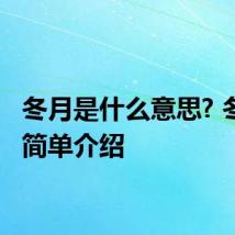 冬月是什么意思? 冬月的简单介绍