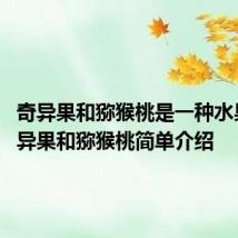 奇异果和猕猴桃是一种水果吗 奇异果和猕猴桃简单介绍