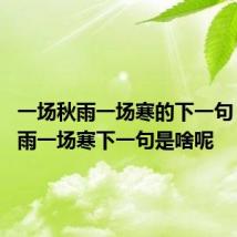 一场秋雨一场寒的下一句 一场秋雨一场寒下一句是啥呢