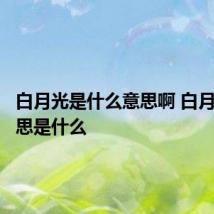 白月光是什么意思啊 白月光的意思是什么