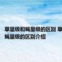 草量级和蝇量级的区别 草量级和蝇量级的区别介绍