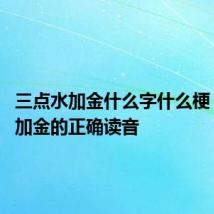 三点水加金什么字什么梗 三点水加金的正确读音