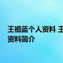 王祖蓝个人资料 王祖蓝资料简介