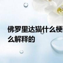佛罗里达猫什么梗 是怎么解释的