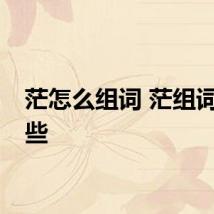茫怎么组词 茫组词有哪些