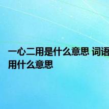 一心二用是什么意思 词语一心二用什么意思