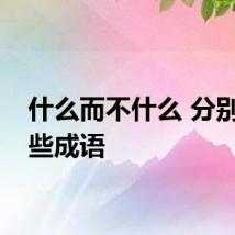 什么而不什么 分别有哪些成语