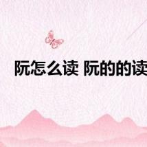 阮怎么读 阮的的读音