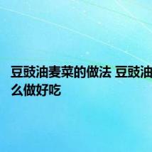 豆豉油麦菜的做法 豆豉油麦菜怎么做好吃