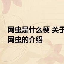 网虫是什么梗 关于什么网虫的介绍
