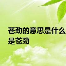 苍劲的意思是什么 什么是苍劲