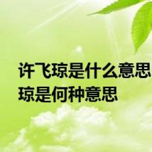 许飞琼是什么意思 许飞琼是何种意思