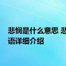 悲悯是什么意思 悲悯词语详细介绍