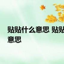 贴贴什么意思 贴贴是啥意思
