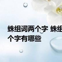 蛛组词两个字 蛛组词两个字有哪些