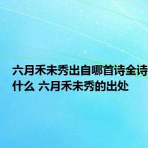 六月禾未秀出自哪首诗全诗原文是什么 六月禾未秀的出处