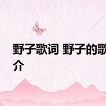野子歌词 野子的歌曲简介