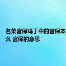 名菜宫保鸡丁中的宫保本意指什么 宫保的意思