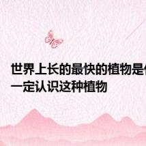 世界上长的最快的植物是什么 你一定认识这种植物