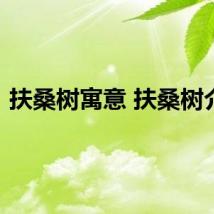 扶桑树寓意 扶桑树介绍
