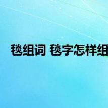 毯组词 毯字怎样组词