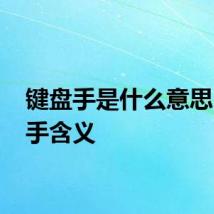 键盘手是什么意思 键盘手含义