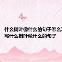 什么树叶像什么的句子怎么写 怎么写什么树叶像什么的句子