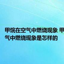 甲烷在空气中燃烧现象 甲烷在空气中燃烧现象是怎样的