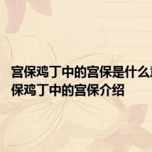 宫保鸡丁中的宫保是什么意思 宫保鸡丁中的宫保介绍