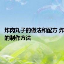 炸肉丸子的做法和配方 炸肉丸子的制作方法