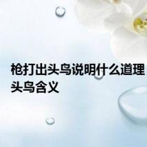 枪打出头鸟说明什么道理 枪打出头鸟含义