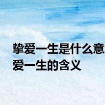 挚爱一生是什么意思 挚爱一生的含义