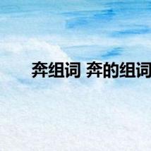 奔组词 奔的组词