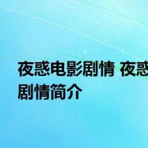 夜惑电影剧情 夜惑电影剧情简介
