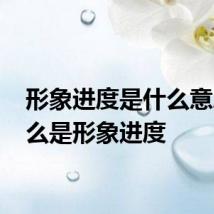 形象进度是什么意思 什么是形象进度