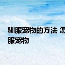 驯服宠物的方法 怎么驯服宠物