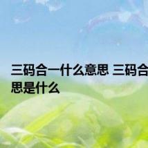 三码合一什么意思 三码合一的意思是什么