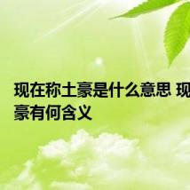 现在称土豪是什么意思 现在称土豪有何含义