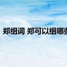 郑组词 郑可以组哪些词