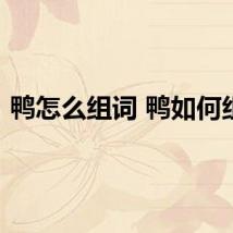 鸭怎么组词 鸭如何组词