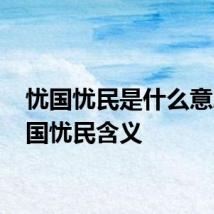 忧国忧民是什么意思 忧国忧民含义