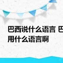 巴西说什么语言 巴西人用什么语言啊
