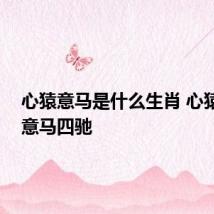 心猿意马是什么生肖 心猿不定 意马四驰