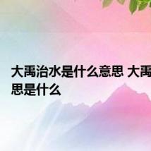 大禹治水是什么意思 大禹治水意思是什么