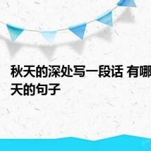 秋天的深处写一段话 有哪些写秋天的句子
