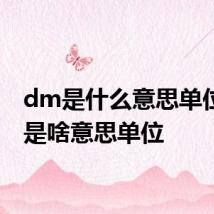 dm是什么意思单位 dm是啥意思单位